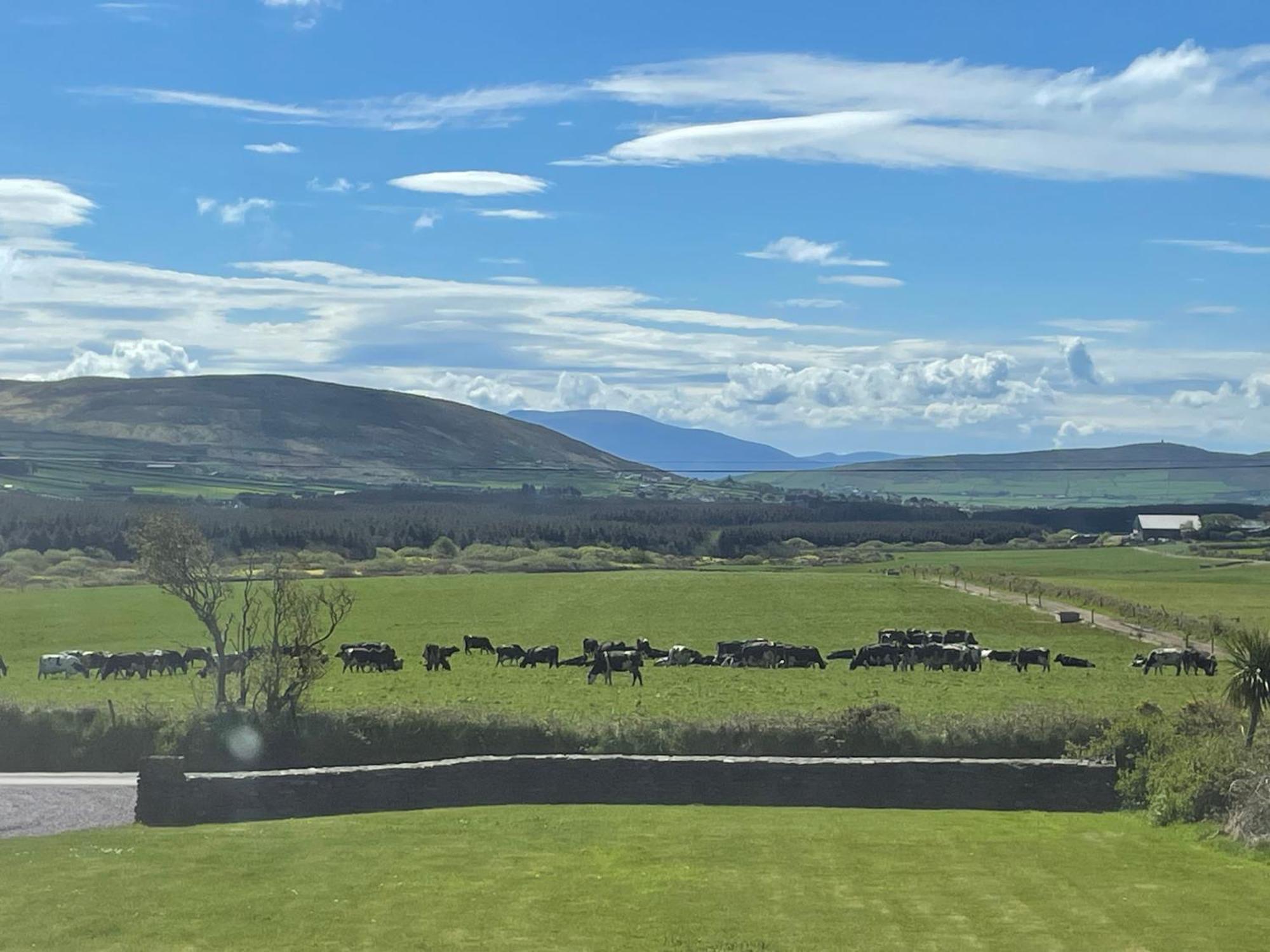 Reenconnell Dingle Exteriér fotografie